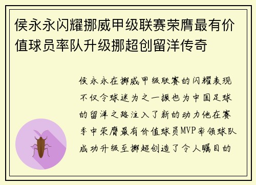 侯永永闪耀挪威甲级联赛荣膺最有价值球员率队升级挪超创留洋传奇
